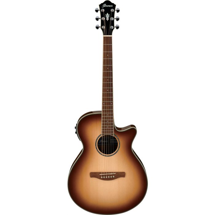 Ibanez AEG10II Electro-Acoustic Guitar in Natural Browned Burst
