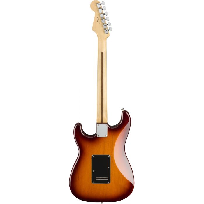 Rear of Fender Player Stratocaster HSS Guitar