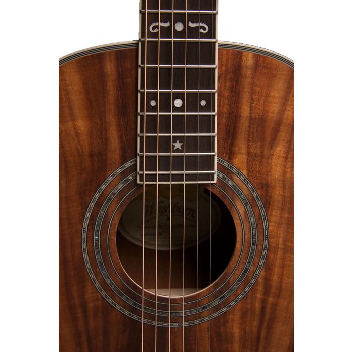 Washburn WP55NS Parlour Acoustic Guitar Rosette