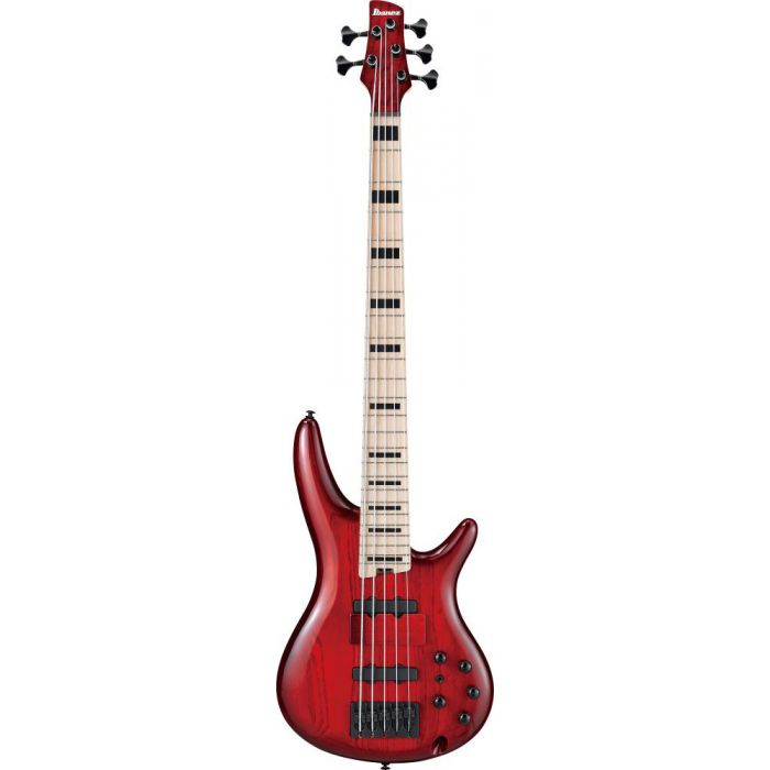 Ibanez Adam Nitti ANB205 Transparent Wine Red Burst front with finger block