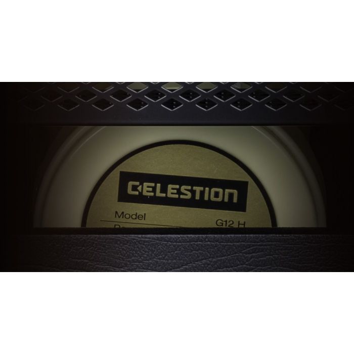 Ashdown AGM-112 1x12" Guitar Cabinet speaker closeup