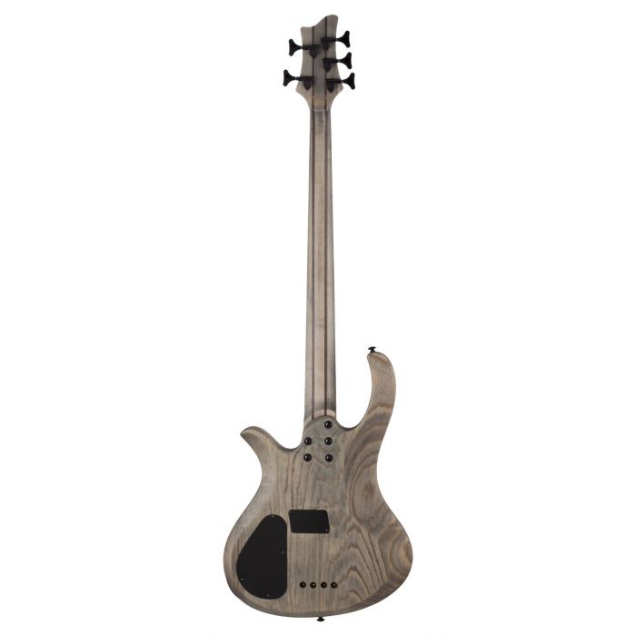 Schecter Riot-5 Aurora Burst 5-String Bass Guitar