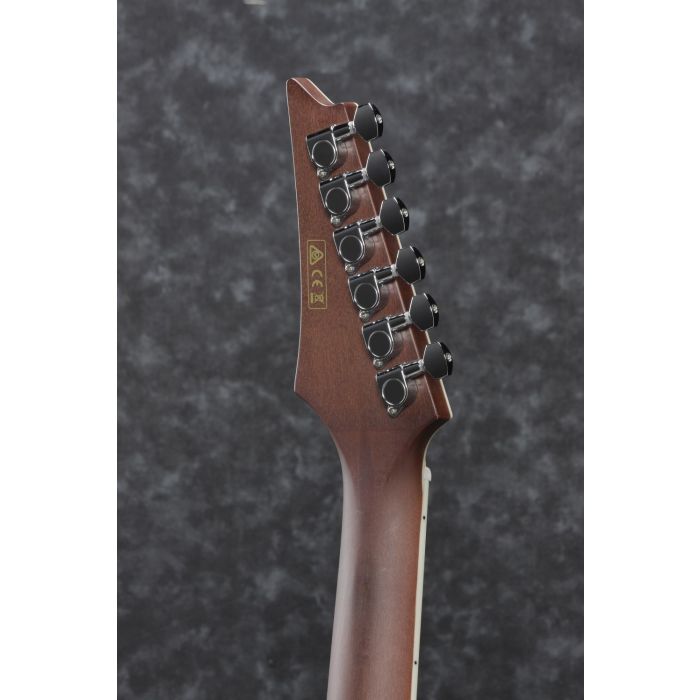 Ibanez Altstar ALT30 Electro-Acoustic Guitar Natural Browned Burst Headstock Rear