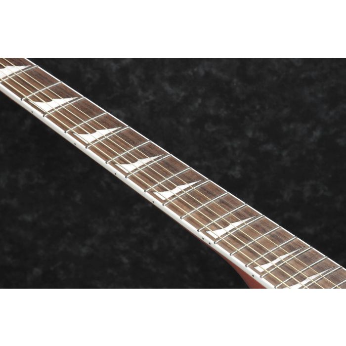 Ibanez Altstar ALT30 Electro-Acoustic Guitar Laurel Fretboard