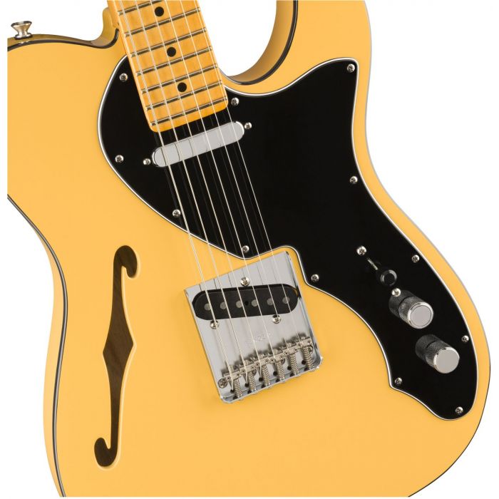 Body Detail of Fender Britt Daniel Telecaster Thinline Signature Guitar