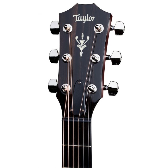 Rear View of Taylor 514ce LTD Electro-Acoustic Guitar Headstock