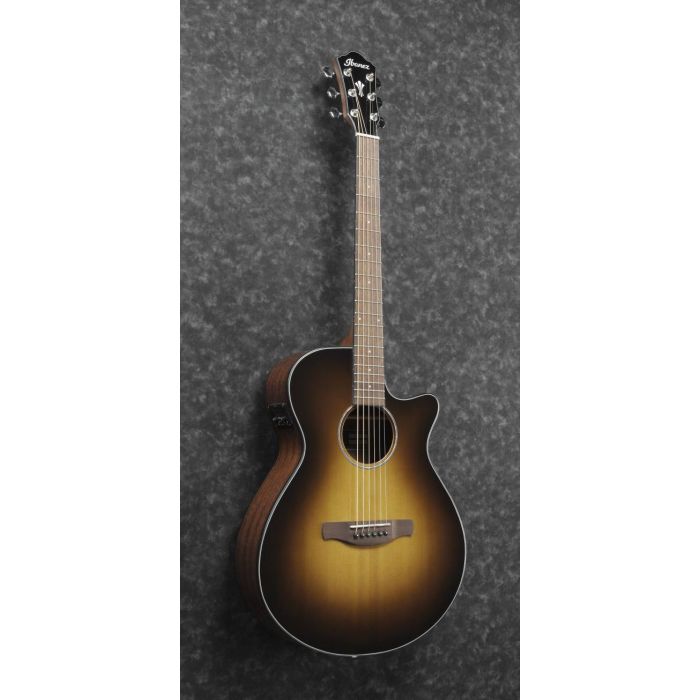 Angled View of Ibanez AEG50 Electro-Acoustic Guitar