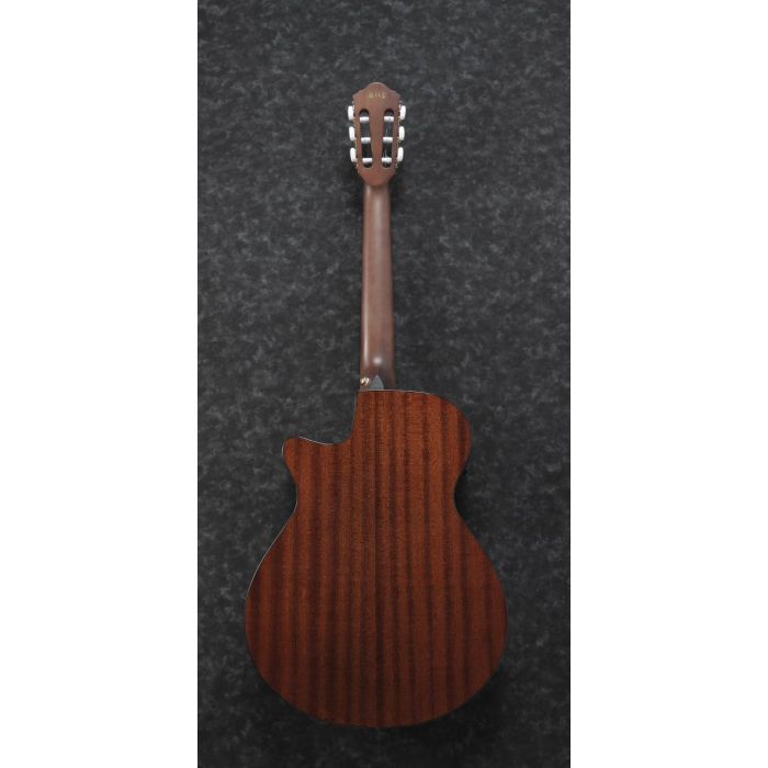Rear View of Ibanez AEG50N Nylon String Electro-Acoustic Guitar