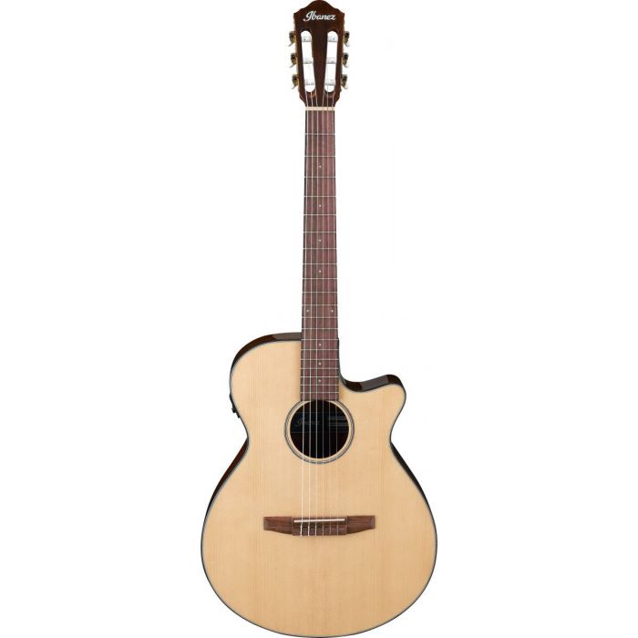 Ibanez AEG50N Nylon String Electro-Acoustic Guitar