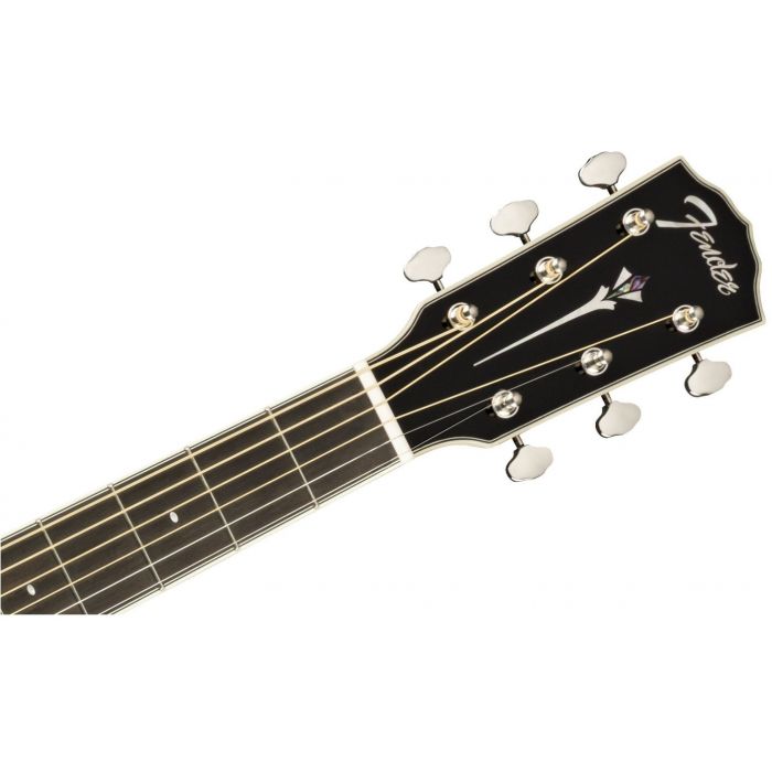 Fender LTD ED PM-1E Black hdstckfrt