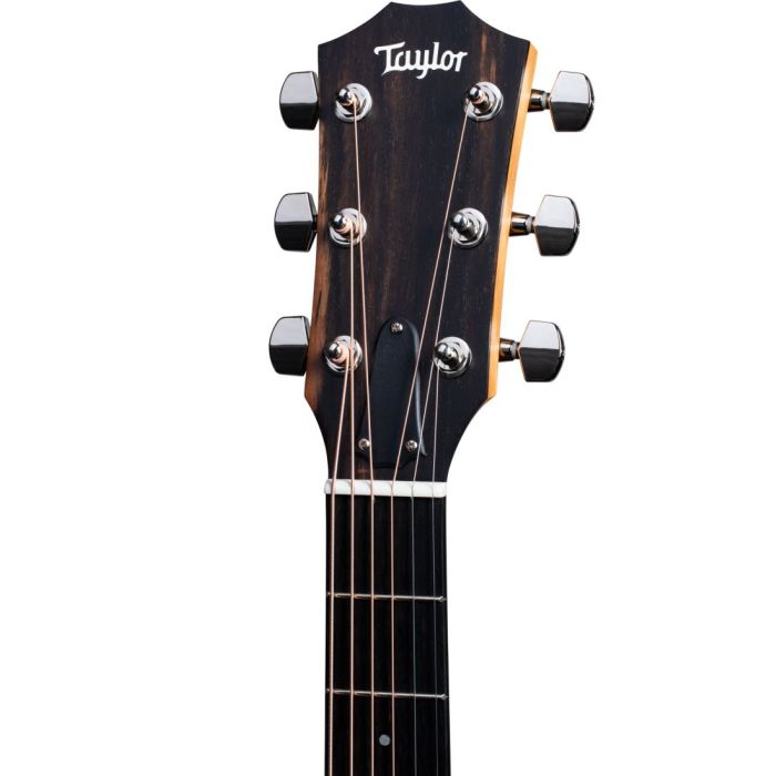 Front closeup view of the headstock on a Taylor 214ce Plus Electro Acoustic Guitar
