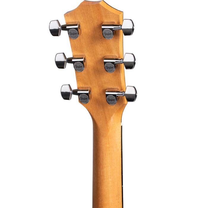 Rear closeup view of the headstock on a Taylor 214ce Plus Electro Acoustic Guitar