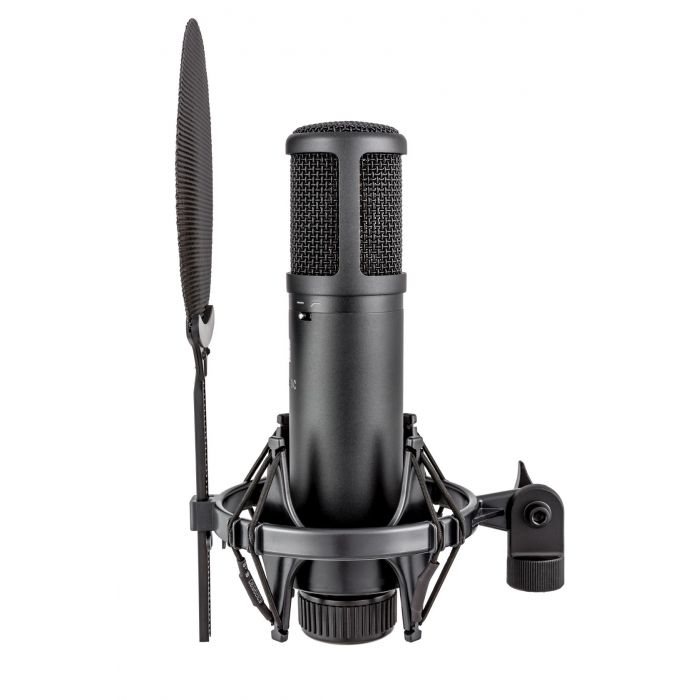 Side View of SE2200 Microphone with Cradle and Pop Filter