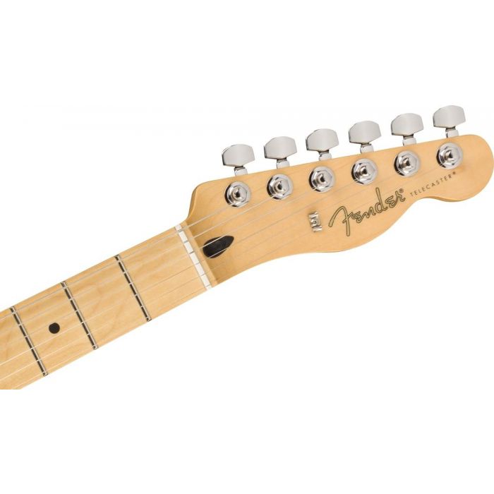 Front view of the headstock on a Fender Ltd Ed Player Series Plus Top Tele