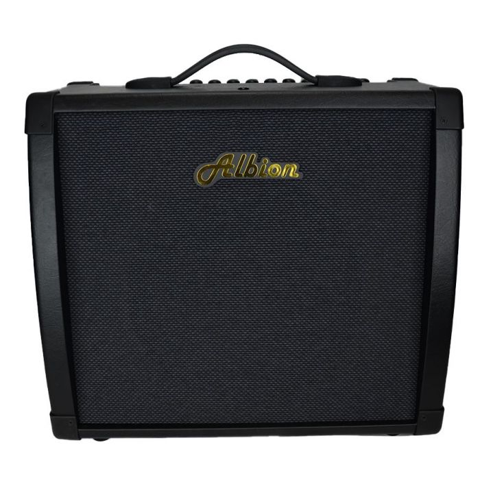 Full frontal view of a Albion AG40DFX 40W Fx Hybrid 1x12 Combo
