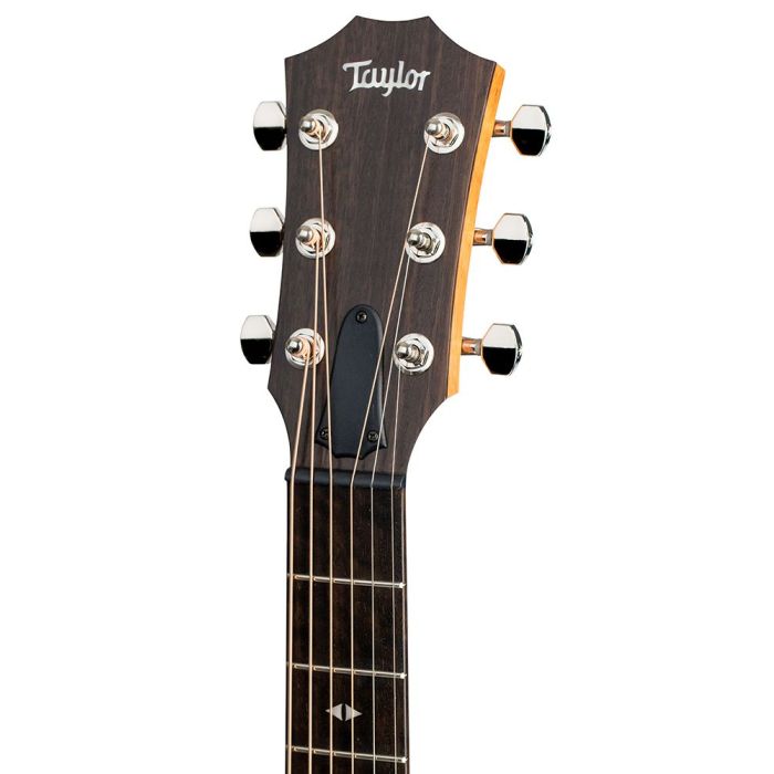 Closeup of the headstock on a Taylor GT Urban Ash Acoustic Guitar