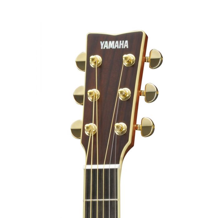 Yamaha LJ16ARE Acoustic Guitar In Dark Tinted Finish Headstock