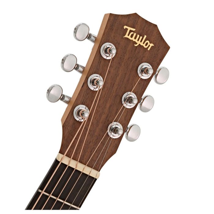 Taylor BT1 Baby Taylor Acoustic Guitar Headstock