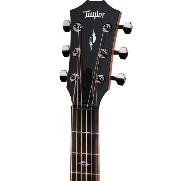 Front view of the headstock on a Taylor GT 811e Electro Acoustic Guitar