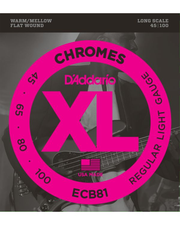 D'Addario ECB81 Chromes Bass Guitar Strings,Light 45-100 Long Scale