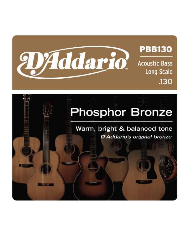 DAddario PBB130 Phosphor Bronze Acoustic Bass Single Strings Long Scale 130